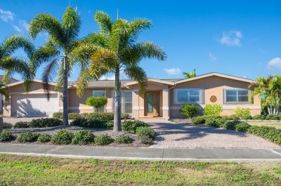 Palm Tree Planting Service